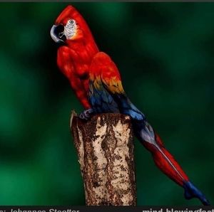 Meet your Posher, Fatuma